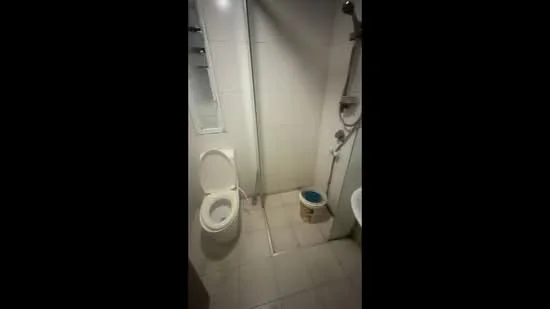 Bathroom features: white tiled walls, light grey tiled flooring, one-piece toilet, shower with glass enclosure, chrome showerhead, chrome faucet, mirror above sink, built-in shelf for toiletries; style: modern.