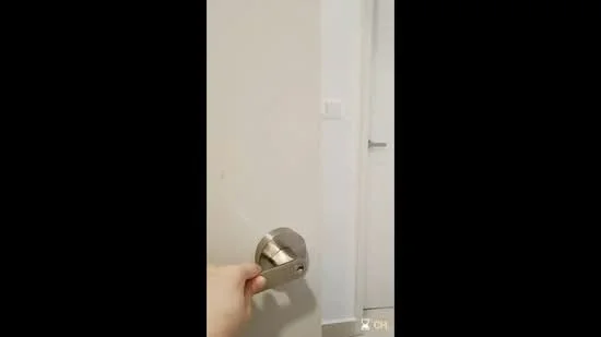 Room features: light grey painted walls, white door, metal door handle, light-colored flooring, door frame, visible door hinge.
