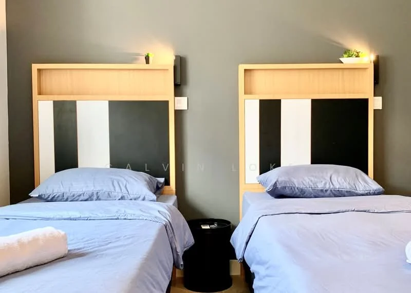 Bedroom features: two single beds with blue bedding, wooden headboards with black and white panels, nightstand with a black finish, wall-mounted reading lights, decorative plants on headboards, grey painted walls, laminate flooring, white towels on beds; style: modern.