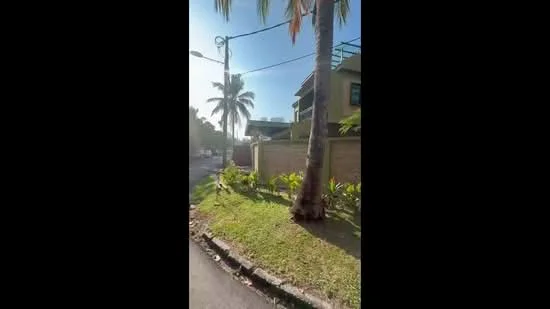 Exterior type: detached bungalow; features: manicured lawn, mature palm trees, paved walkway, fenced perimeter, two-storey structure, surrounded by greenery, street lighting, adjacent to road; style: tropical-modern.