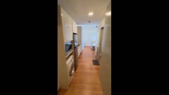 Room features: light wood flooring, white painted walls, recessed downlights, built-in cabinetry, stainless-steel fridge, built-in oven, microwave, front-load washing machine, open layout, natural light from window; style: modern.