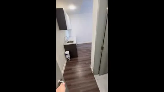 Room features: laminate flooring, white painted walls, single-bowl stainless-steel sink, dark cabinetry, light fixture on ceiling; style: modern.