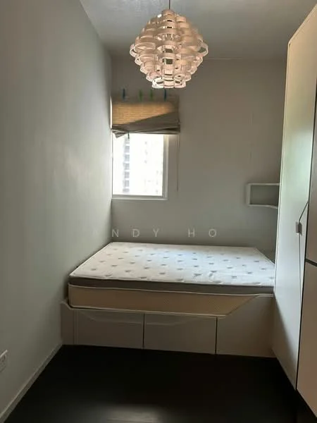 Bedroom features: single bed frame, mattress, white painted walls, dark wood flooring, window with blinds, ceiling light fixture, built-in wardrobe with sliding doors, shelf unit; style: modern.