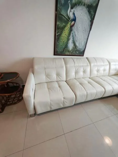 Living features: white leather sofa, glass coffee table, cream painted walls, glossy tile flooring, framed artwork with peacock design, decorative wall art; style: modern.