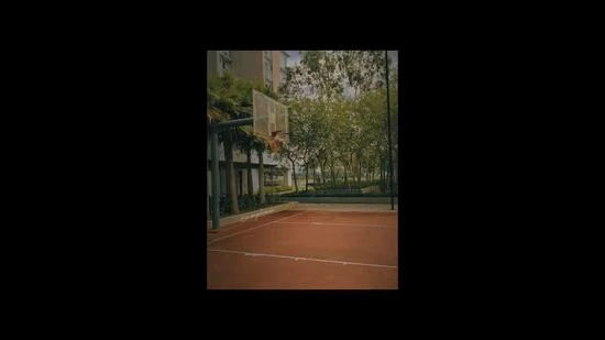 Exterior type: basketball court; features: outdoor basketball court, red asphalt surface, basketball hoop, surrounded by greenery, landscaped area, trees in background; style: modern.