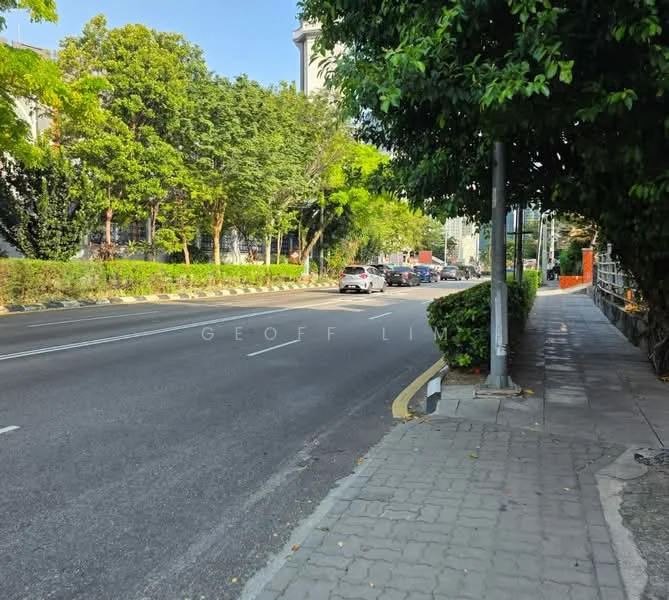 Exterior features: tree-lined street, paved sidewalk, curbside parking, road with vehicle traffic, landscaped greenery, street lighting.