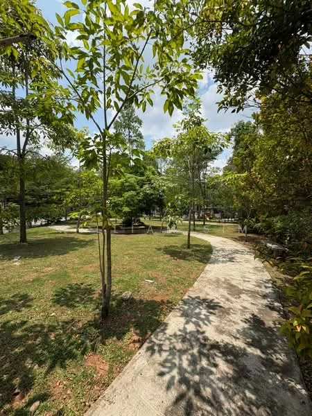 Exterior type: landscape garden; features: manicured lawn, pathway with concrete surface, young trees, lush greenery, surrounding shrubs, clear blue sky; style: tropical-modern.