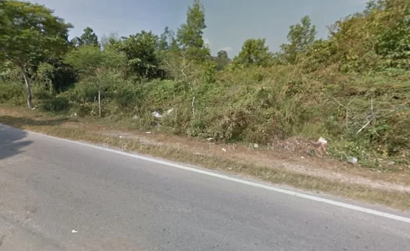Exterior features: roadside view, overgrown vegetation, trees along the roadside, scattered debris, grassy area, dirt shoulder.