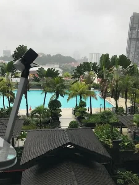 Exterior type: swimming pool deck; features: infinity pool, tropical landscaping, palm trees, manicured lawn, pool deck with loungers, surrounded by greenery, city skyline in background; style: modern.