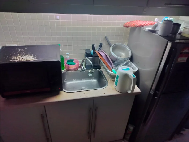 Kitchen features: single-bowl stainless-steel sink, chrome pull-down faucet, black microwave, silver fridge, countertop with beige surface, dish rack, cutting board, various cleaning supplies, plastic containers, kitchen utensils.