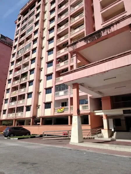 Exterior type: mid-rise condominium; features: pink painted facade, balconies with railings, multiple storeys, ground-level parking area, entrance with awning, windows with grills, visible signage on balconies; style: modern.