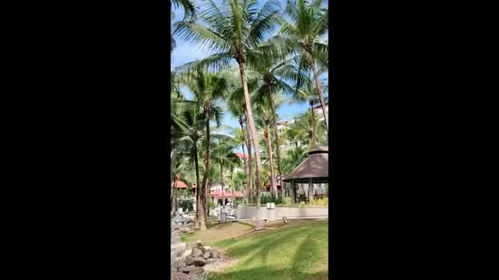Exterior type: landscape garden; features: tropical landscaping, palm trees, manicured lawn, stone-paved walkway, gazebo, outdoor seating area, surrounded by greenery; style: tropical-modern.
