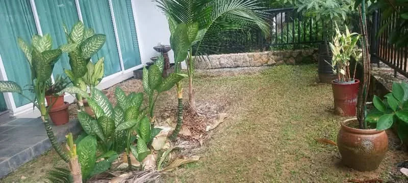 Exterior type: landscape garden; features: manicured lawn, tropical landscaping, potted plants, stone wall, fenced area, pathway with stone pavers; style: tropical-modern.