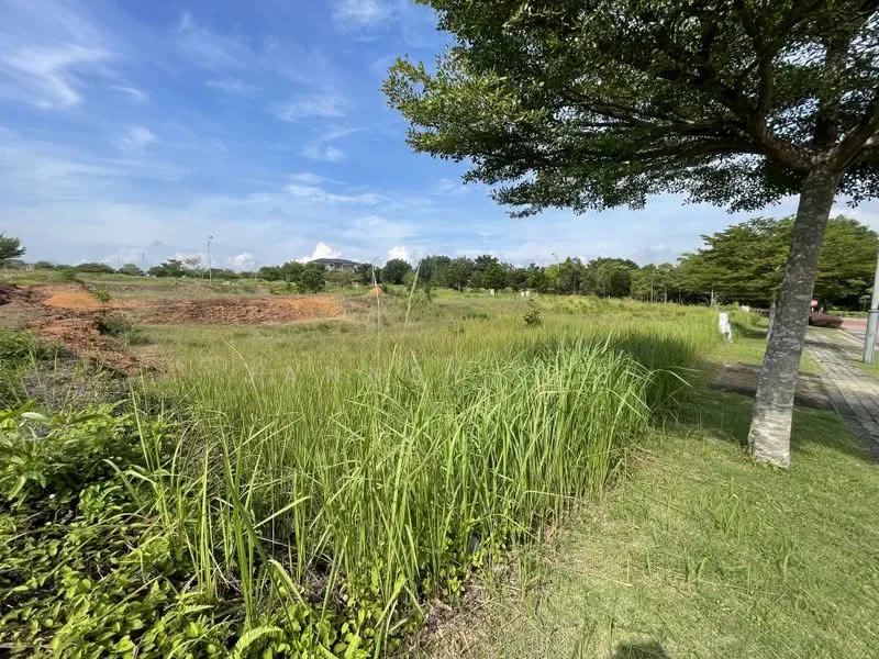 Exterior type: landscape garden; features: lush green grass, tall grass, mature trees, clear blue sky, paved walkway, landscaped area, open field, distant construction site; style: natural.