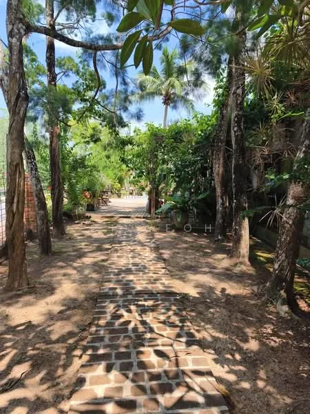 Exterior type: landscape garden; features: stone-paved walkway, mature trees, tropical landscaping, lush greenery, sunlight filtering through leaves, garden path, surrounded by plants; style: tropical-modern.