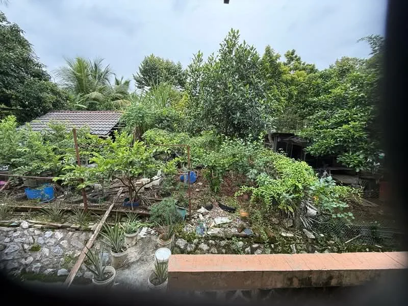 Exterior type: landscape garden; features: lush greenery, various plants and trees, stone-paved walkway, fenced garden area, garden furniture, outdoor storage shed, potted plants, natural landscaping; style: tropical-modern.
