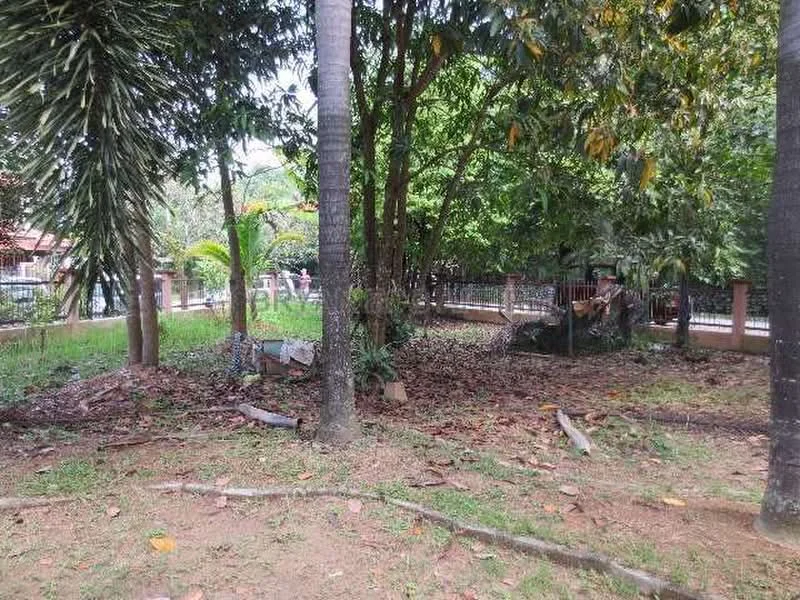 Exterior type: landscape garden; features: manicured lawn, mature trees, fenced perimeter, natural stone pathway, garden area with foliage, shaded seating area; style: tropical-modern.