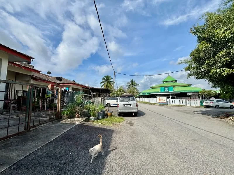 Exterior type: linked terrace house; features: single-storey building, green roof, fenced yard, paved driveway, manicured lawn, surrounded by palm trees, street view, visible vehicles, open space, residential area; style: traditional.