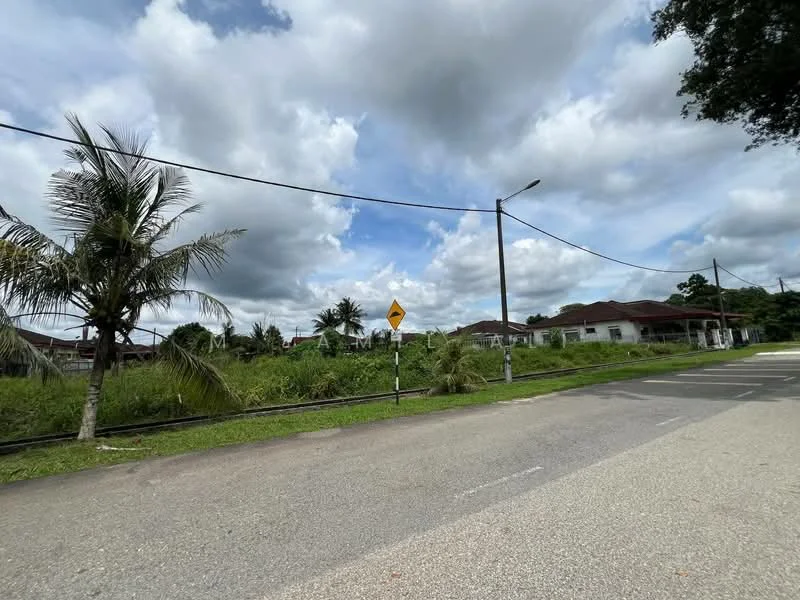 Exterior features: paved road, street lighting, tall grass, palm trees, cloudy sky, residential buildings in background.