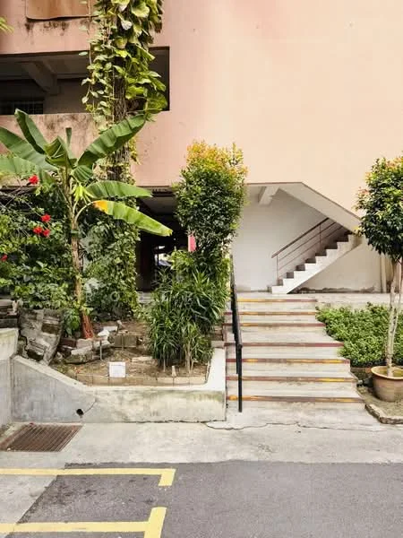 Exterior type: low-rise apartment block; features: staircase with handrail, landscaped garden with plants, potted plants, concrete pathway, yellow parking lines, green foliage, banana plant, flowering shrubs; style: modern.