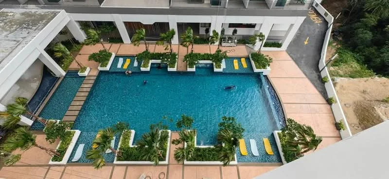Exterior type: swimming pool deck; features: infinity pool, pool deck with loungers, tropical landscaping, palm trees, manicured garden beds, wooden walkway, surrounding greenery, paved walkway; style: modern.