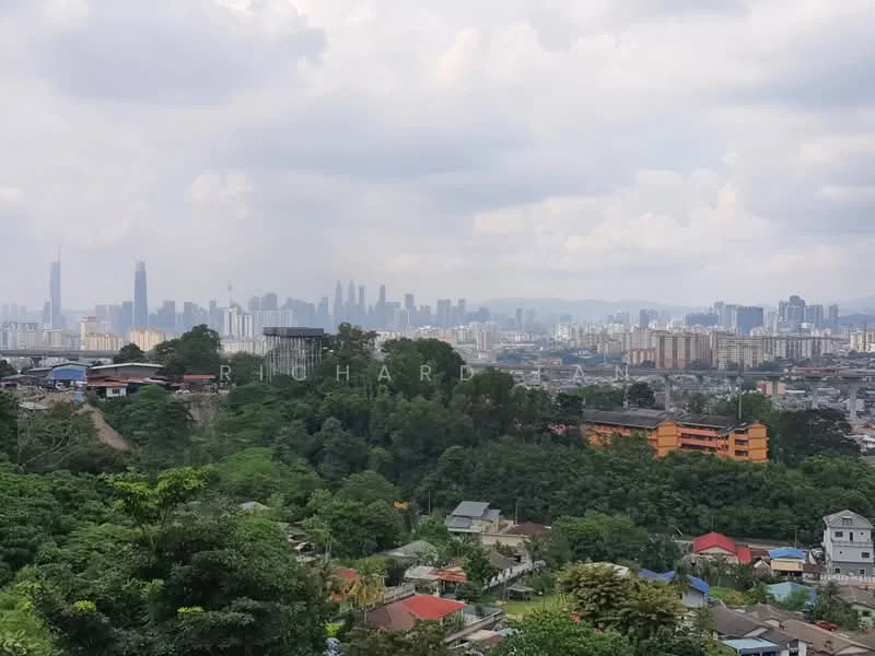 Exterior features: city skyline view, lush greenery in foreground, varied building heights in background, urban landscape, hillside location; style: modern.