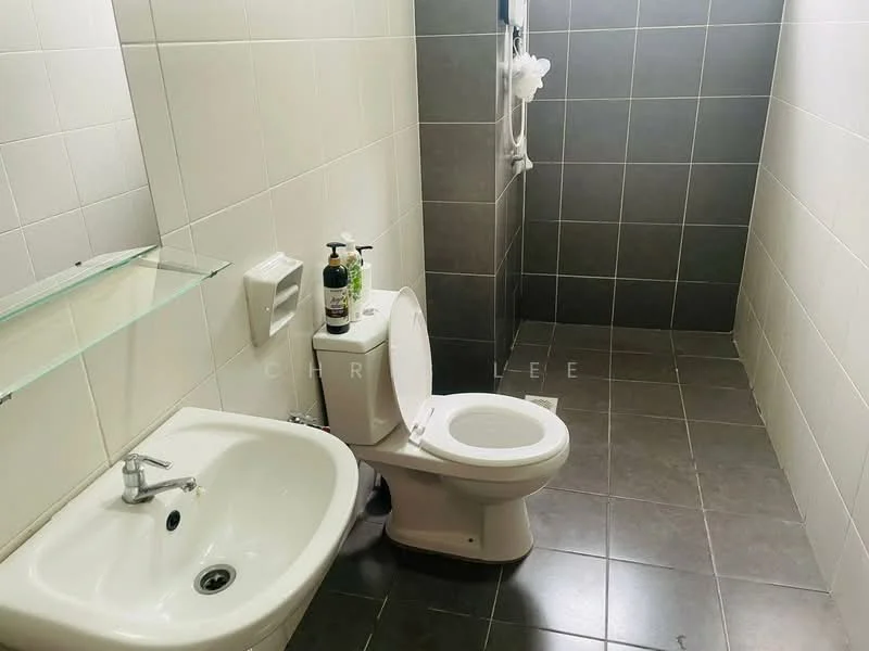 Bathroom features: white ceramic toilet, single-sink vanity with chrome faucet, glass shelf above sink, grey tiled walls, dark grey tiled flooring, shower area with handheld shower, white shower curtain, soap dispenser, toilet paper holder; style: modern.