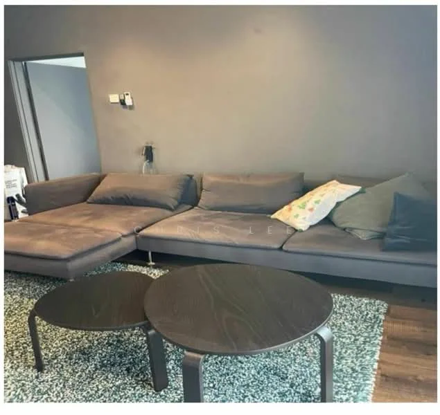Living features: L-shape sectional sofa in grey, decorative throw pillows, 2 round coffee tables with dark wood finish, area rug with textured pattern, grey painted walls, wall-mounted electrical outlet; style: modern.