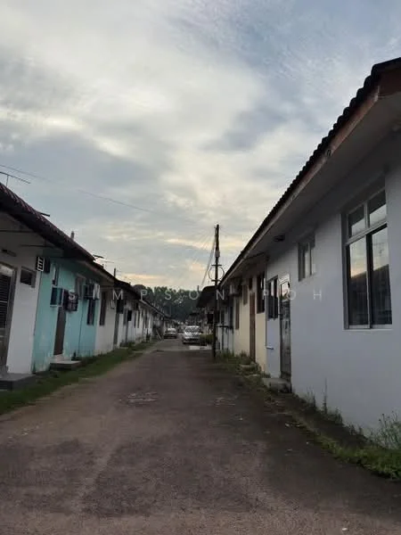 Exterior type: linked terrace house; features: single-storey, painted facade in light blue, painted facade in white, asphalt road, surrounded by greenery, visible power lines, cloudy sky; style: modern.