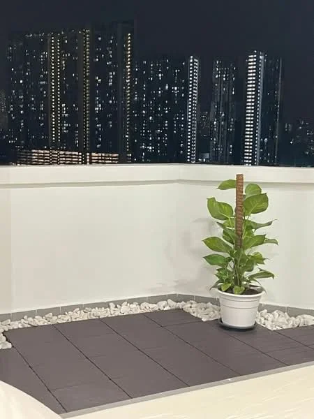 Room features: white walls, grey tiled flooring, decorative white pebbles, potted plant, city skyline view at night; style: modern; view: city.
