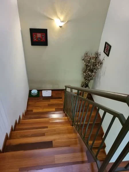 Room features: wooden staircase, dark wood flooring, light green painted walls, wall-mounted light fixture, decorative wall art, decorative plant in pot, white baseboards; style: modern; view: staircase.