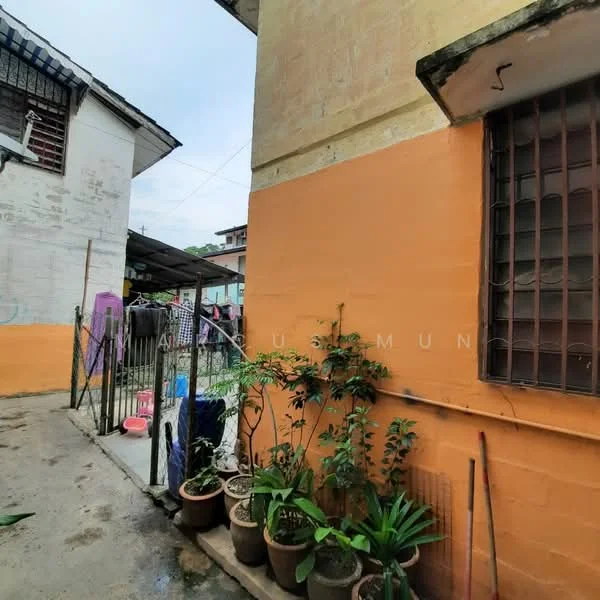Exterior features: orange painted wall, white painted wall, metal window grilles, potted plants, concrete flooring, fenced area.