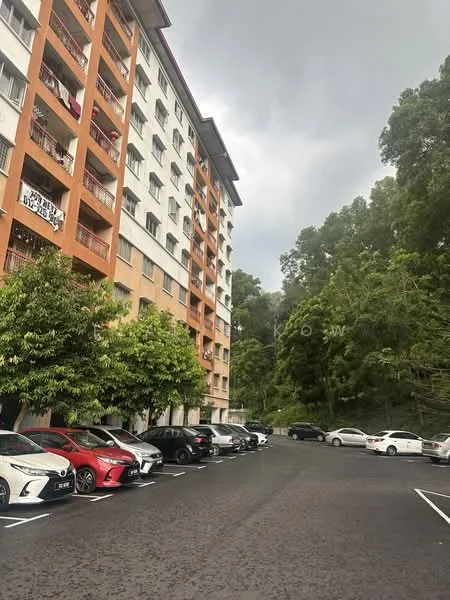 Exterior type: low-rise apartment block; features: 6-storey building, orange painted facade, balconies with railings, surrounded by greenery, parking lot with marked spaces, trees along the building, cloudy sky; style: modern.