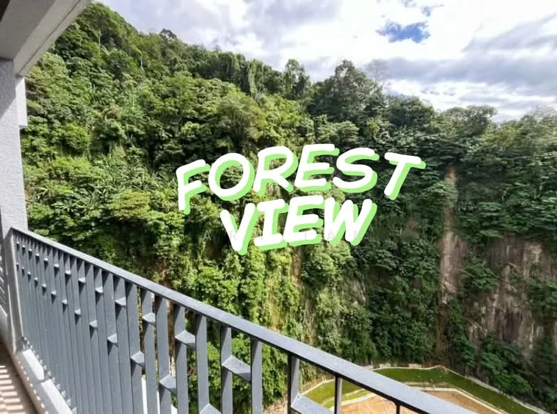 Room view: forest.