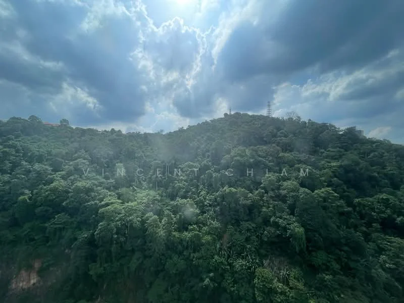 Exterior features: lush greenery, hilly terrain, tall trees, cloudy sky, distant telecommunications tower; style: natural.