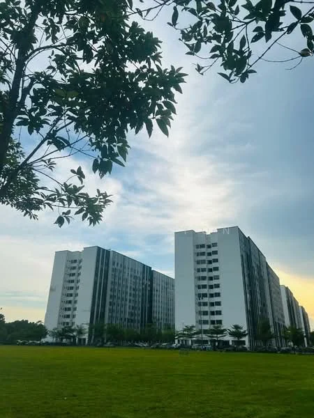 Exterior type: low-rise apartment block; features: white painted facade, glass curtain wall, green landscaping, manicured lawn, surrounded by trees, multiple storeys, parking area visible; style: modern.