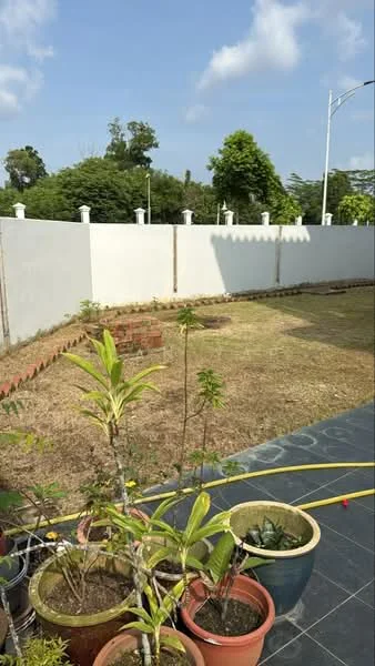 Exterior type: landscape garden; features: manicured lawn, potted plants, brick garden edging, white painted fence, concrete pathway, surrounded by greenery, garden area with grass; style: modern.
