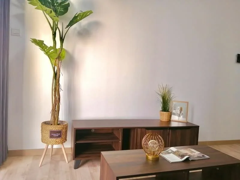 Living features: wooden flooring, light grey painted walls, large potted plant, wooden TV console, decorative gold wire orb, coffee table, framed artwork, small potted plant; style: modern.