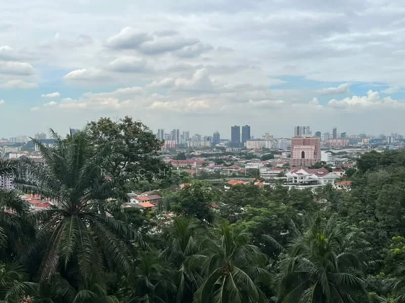 Exterior features: city skyline, lush greenery, tall buildings in the background, residential houses in the foreground, cloudy sky, tropical trees; style: contemporary.
