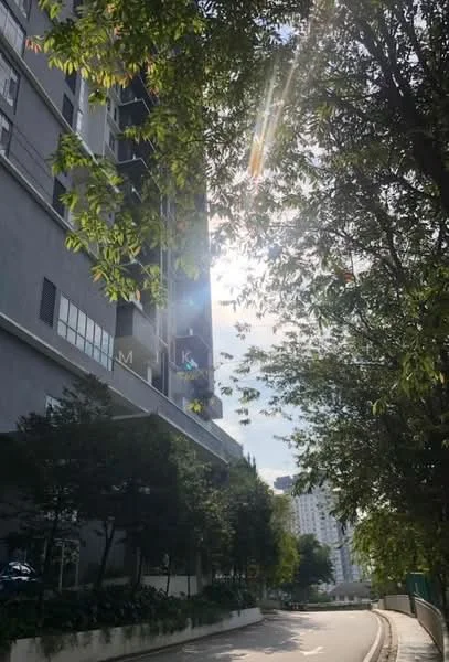 Exterior type: high-rise condominium; features: grey painted facade, glass windows, surrounded by trees, manicured landscaping, driveway, urban context, sunlight filtering through trees; style: modern.