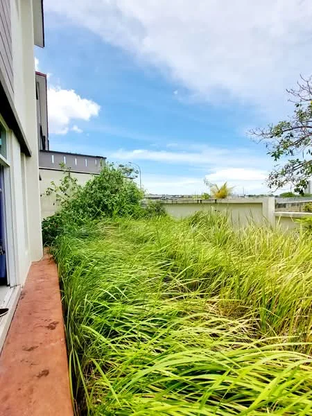 Exterior features: overgrown grass, fence, blue sky, clouds, nearby road, trees.