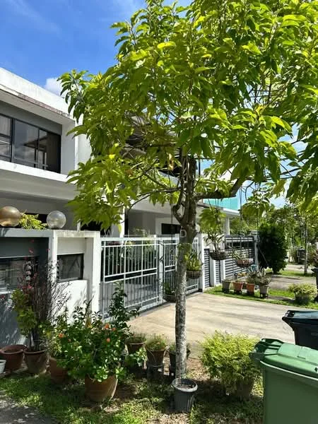 Exterior type: linked terrace house; features: white painted facade, glass windows, manicured lawn, potted plants, fence with gate, driveway, greenery, tree in front yard; style: modern.