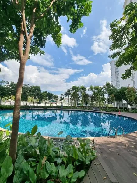 Exterior type: swimming pool deck; features: infinity pool, pool deck with wooden flooring, landscaped garden with tropical plants, mature trees providing shade, blue mosaic tile pool surface, surrounding greenery, clear blue sky, sunny weather; style: modern.