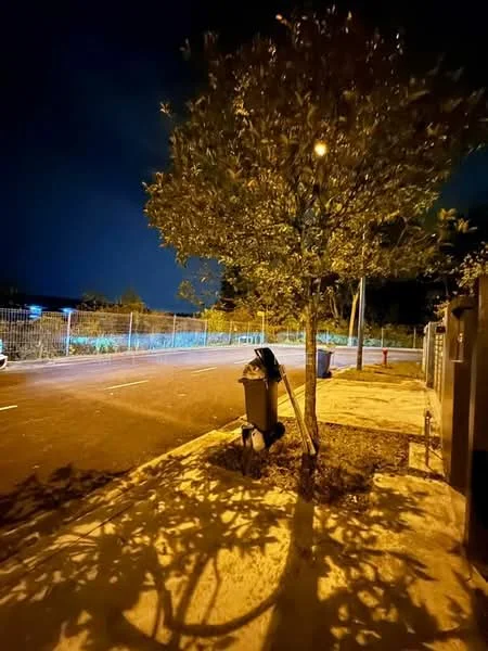 Exterior features: street view, sidewalk, streetlight, tree with foliage, garbage bin, fenced area, paved road.