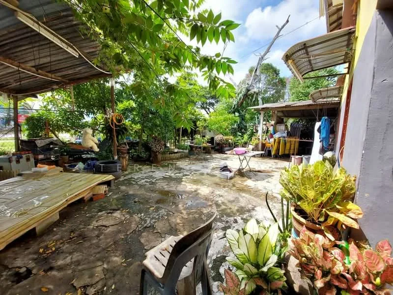 Exterior type: landscape garden; features: stone-paved walkway, manicured lawn, mature trees, tropical landscaping, potted plants, outdoor seating area, covered patio, garden tools visible, various garden furniture, open space with natural light; style: tropical-modern.