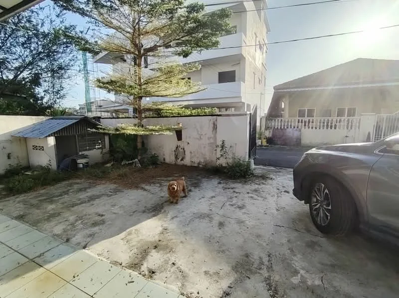 Exterior features: concrete parking area, mature pine tree, fenced perimeter, adjacent building visible, sunlight casting shadows, gravel ground cover, dog in the foreground.