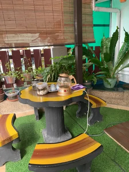 Room features: round table with yellow and black surface, two benches with yellow and black surfaces, green artificial grass flooring, potted plants, bamboo blinds, kettle on the table, electrical cord on the table; style: rustic; view: garden.