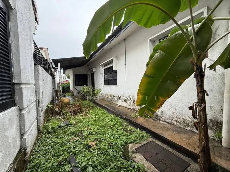 Exterior features: overgrown grass, banana tree, concrete pathway, white painted walls, roof overhang, fenced area, side yard, drainage system.