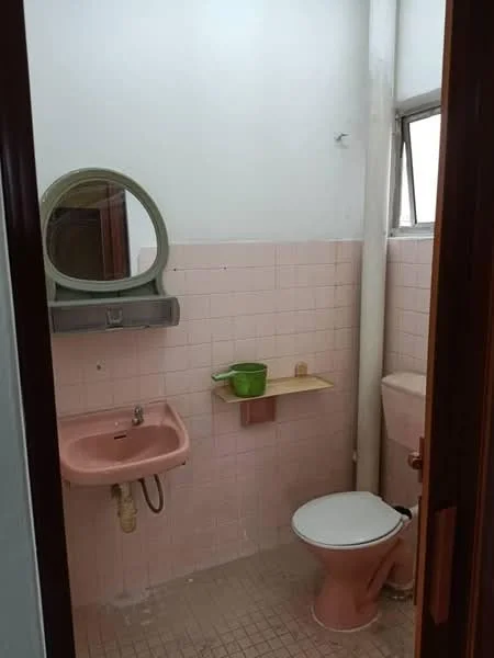 Bathroom features: pink tiled walls, pink tiled flooring, round mirror, wall-mounted sink in pink, toilet in pink, shelf above sink, window for natural light, green plant pot.