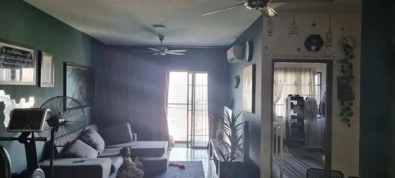 Living features: 3-seater fabric sofa in grey, ceiling fan, wall-mounted split AC, floor-to-ceiling windows, sliding glass door, decorative plants, area rug, wall art, dark green painted walls, wooden flooring; style: modern; view: city. Room features: light curtains, laundry area visible, open layout.